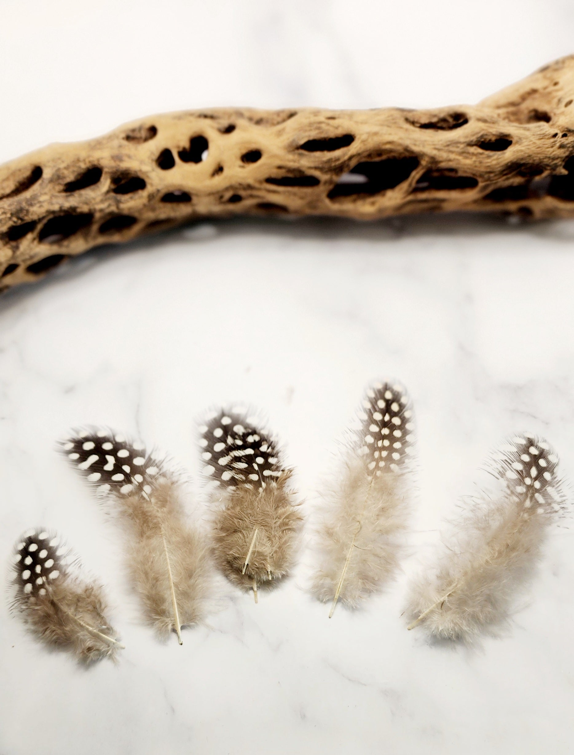 Feather Centerpiece #2