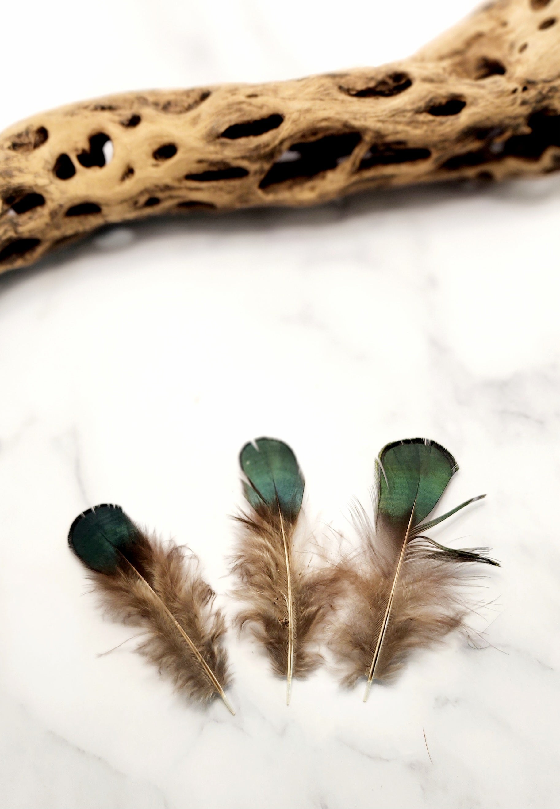 Feather Centerpiece #3